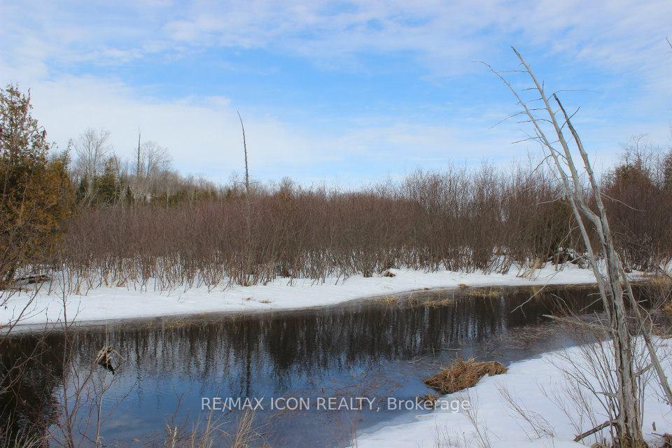 PT LT 48 Concession 3 Road, West Grey, ON N0C 1K0