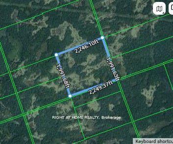 0A Flinton Road E, Tweed, ON K0K 3J0
