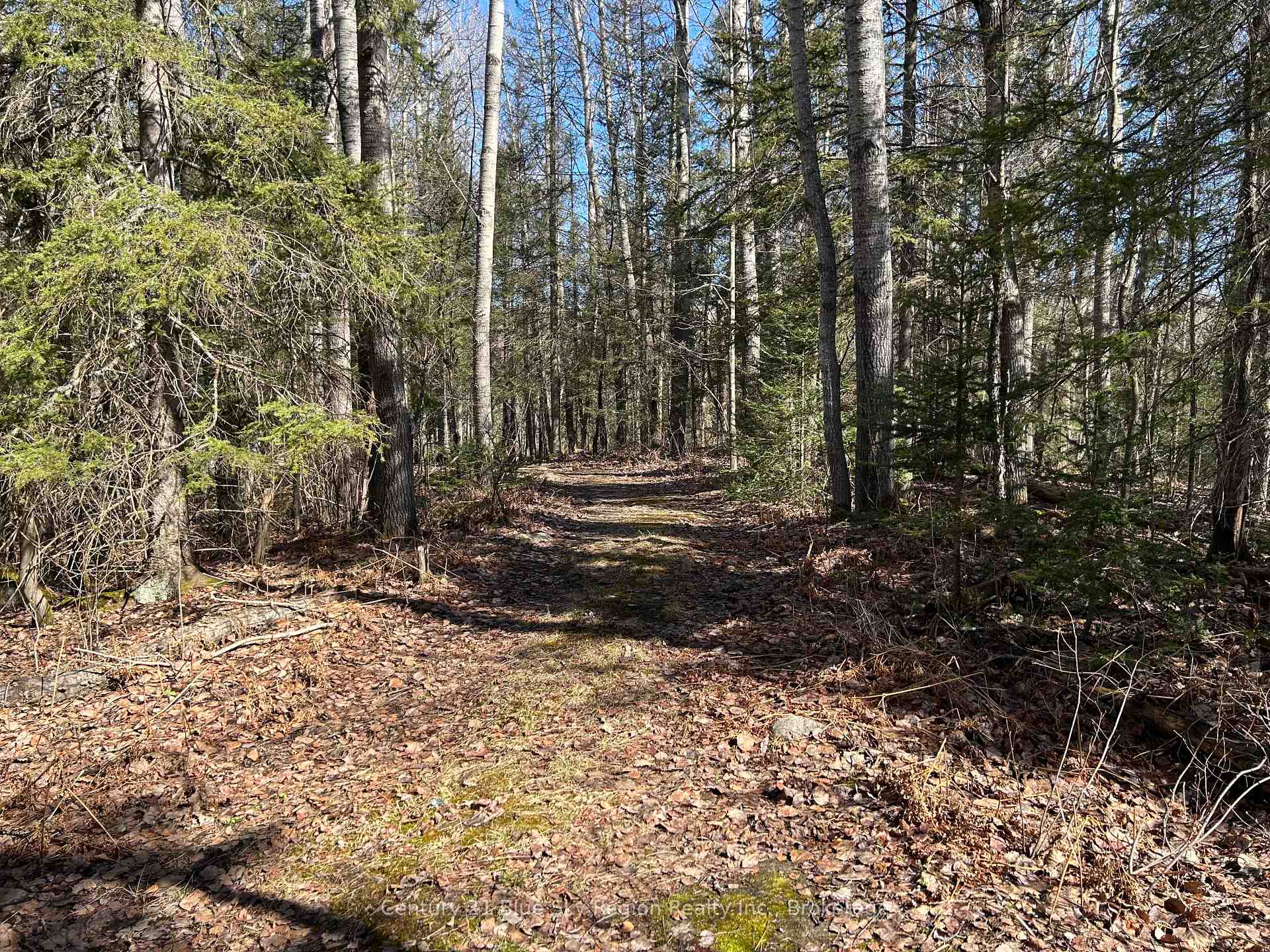 CON 9 PT LOT 17 Highway 534 N/A, Nipissing, ON K0J 0B3