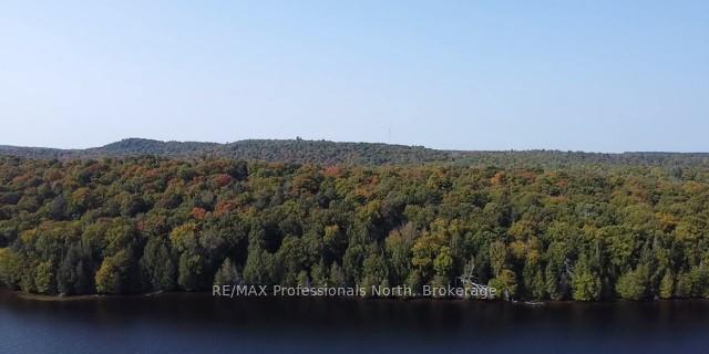 1448-2 WEST OXBOW LAKE Road, Lake of Bays, ON P1H 2J6