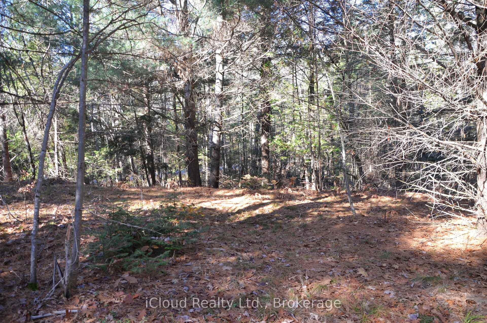 3 Parker Bay Road, Whitestone, ON P0G 1G0