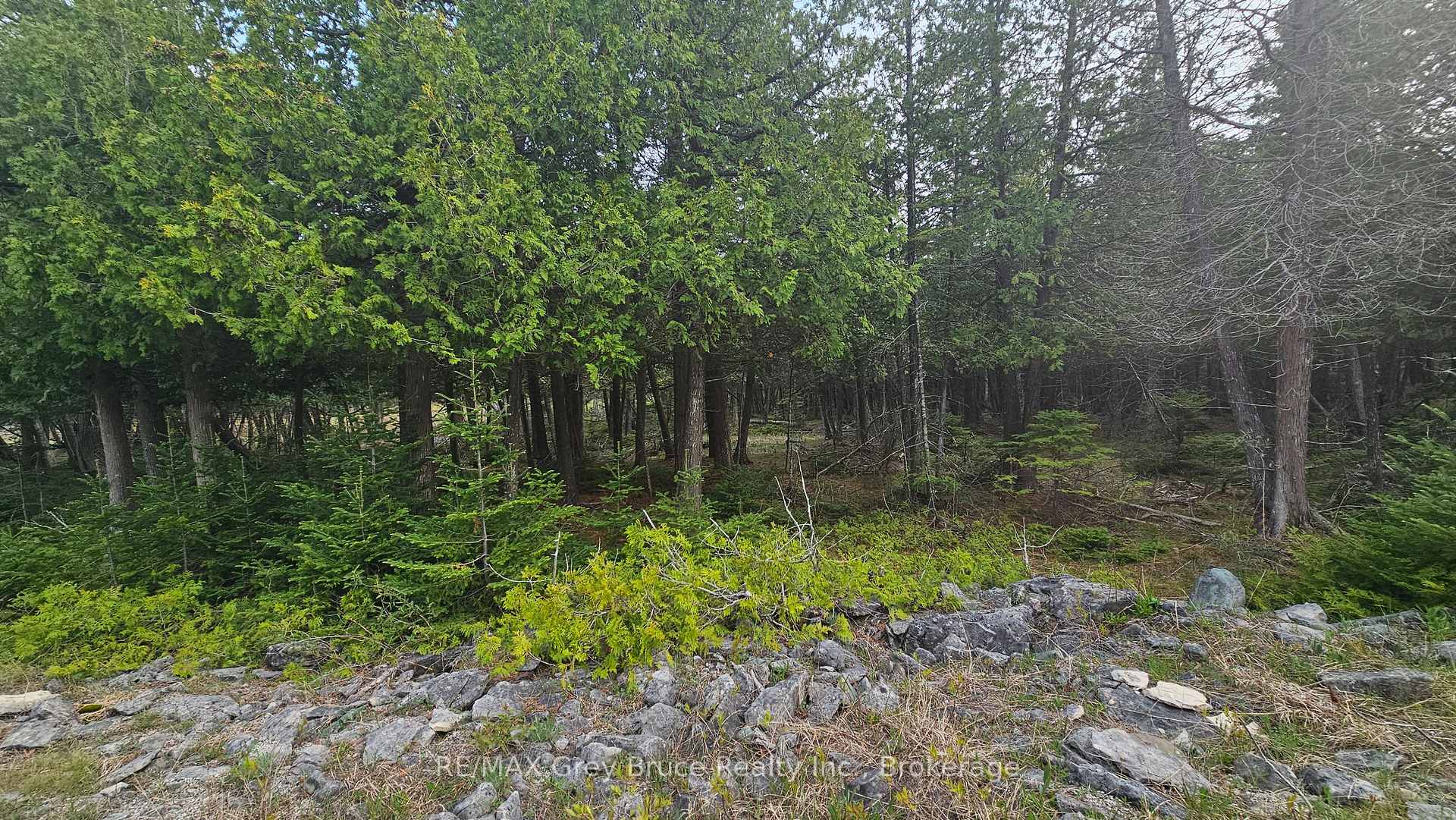 LT 254 Dorcas Bay Road, Northern Bruce Peninsula, ON N0H 2R0