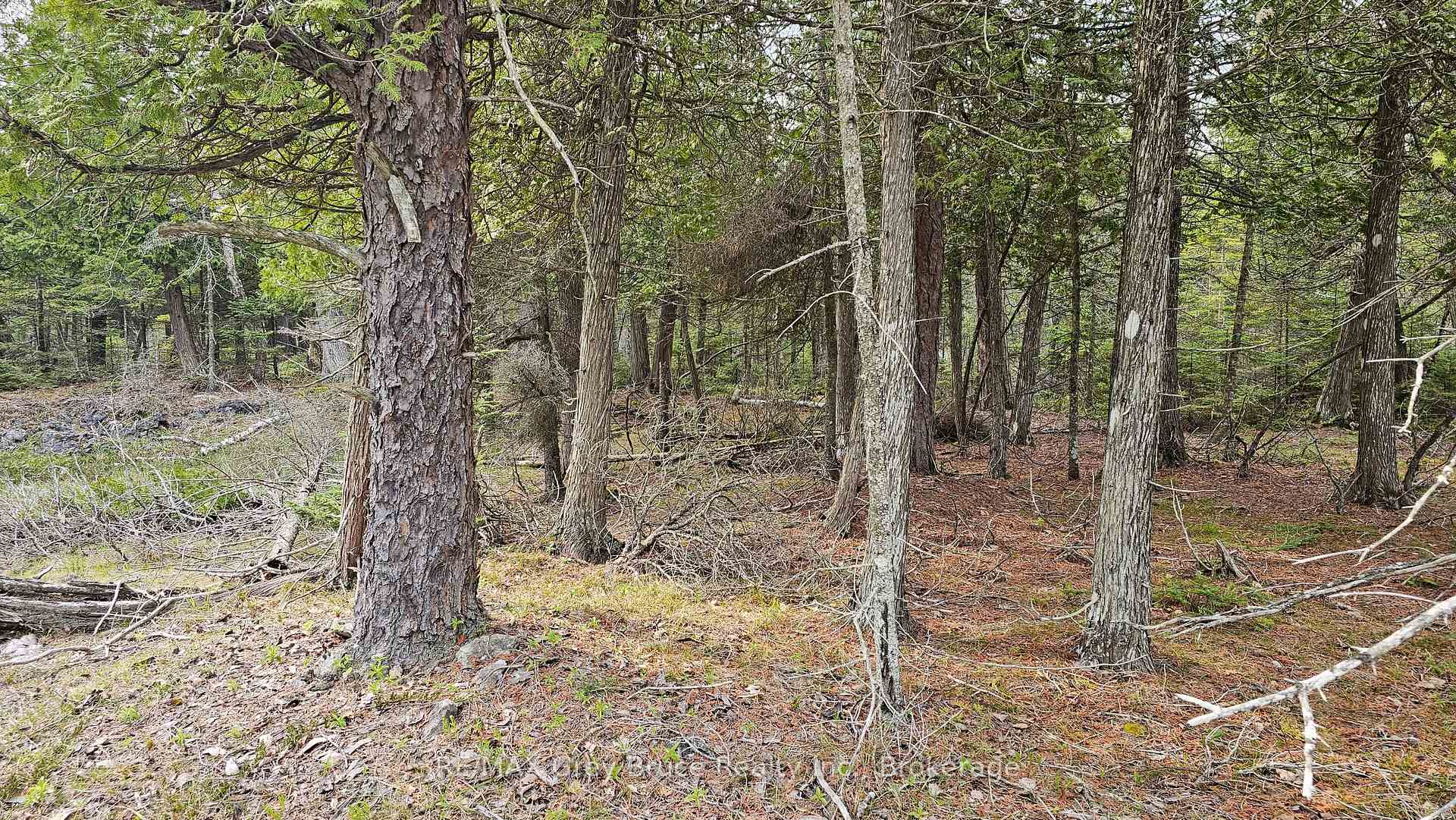 LT 255 Pedwell Pt. Drive, Northern Bruce Peninsula, ON N0H 2R0