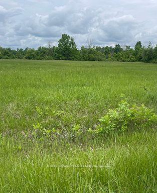 3447 Donnelly Drive N, Manotick - Kars - Rideau Twp and Area, ON K0G 1J0