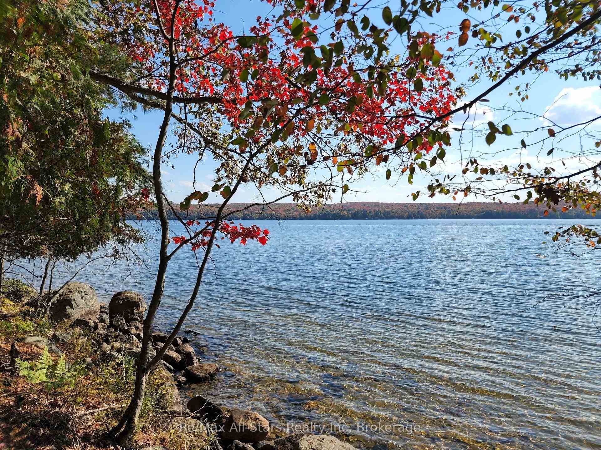 504 Bigwin Island N/A, Lake of Bays, ON P0A 1H0