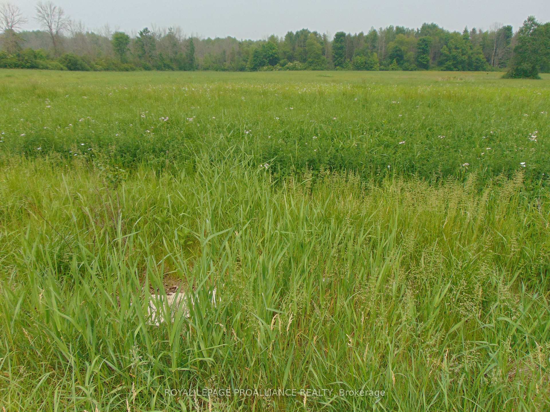 00 Charleville Road N, Augusta, ON K0E 1T0
