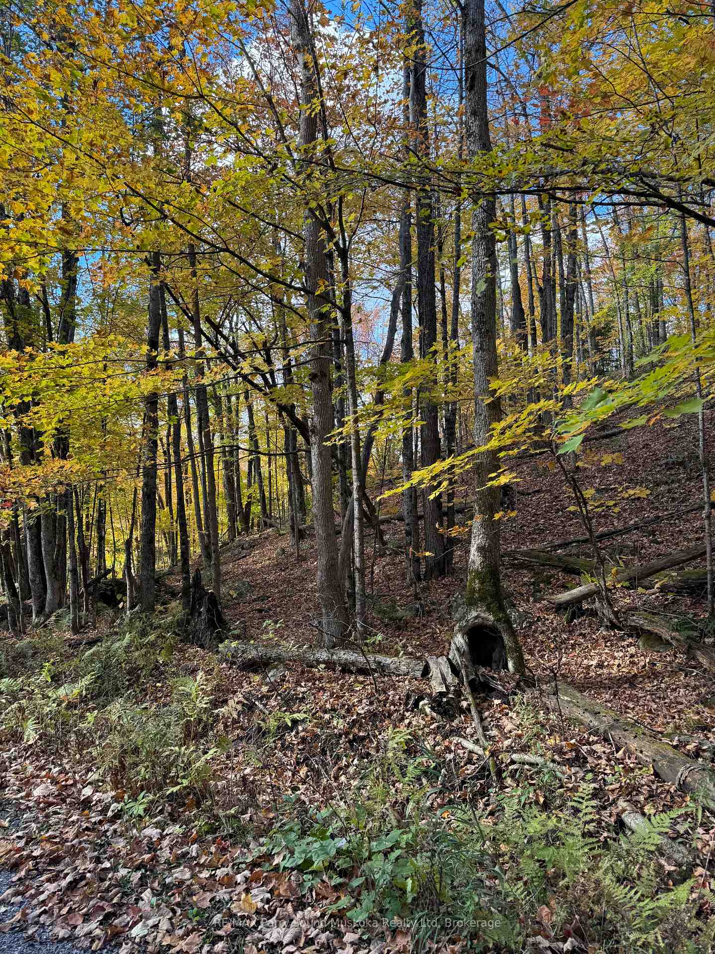 353C BALSAM CREEK Road, Parry Sound Remote Area, ON P0H 1S0
