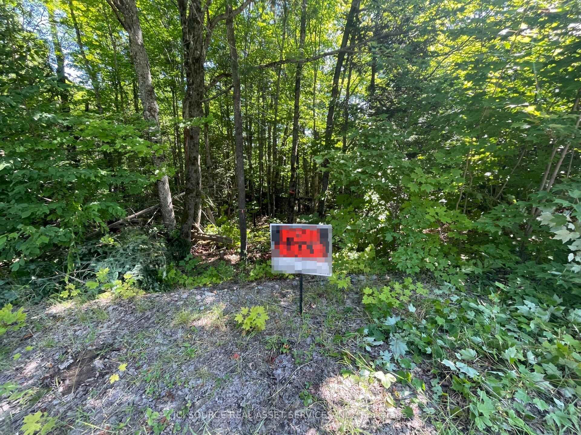 00 Rye Road Part 2, South River, ON P0A 1X0