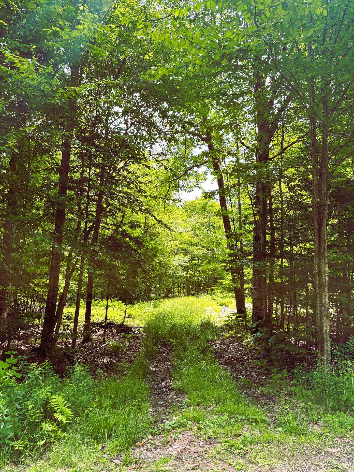 0 Peplinskie Road, Madawaska Valley, ON K0J 1L0