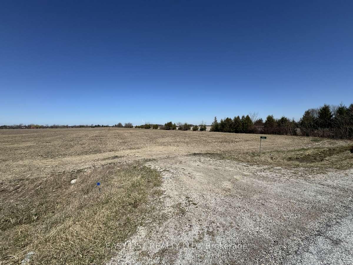 301 Road 11 N/A, Kingsville, ON N0R 1V0