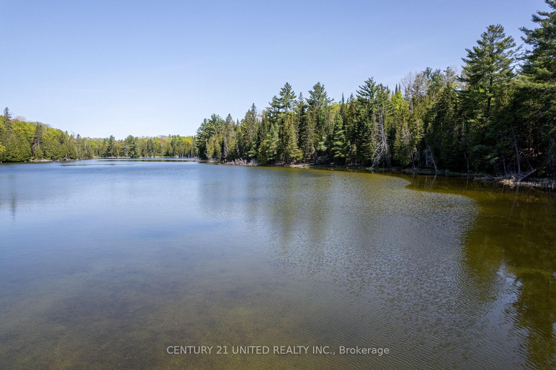 0 Johnson Road, North Kawartha, ON K0L 1A0