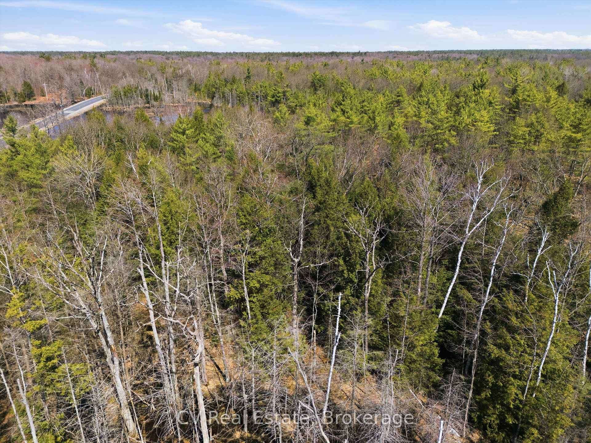 1673 Muskoka Rd 38 N/A, Muskoka Lakes, ON P0C 1A0