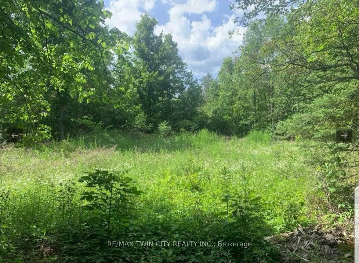 Lot 12 Suter Drive, Kawartha Lakes, ON K0M 1B0