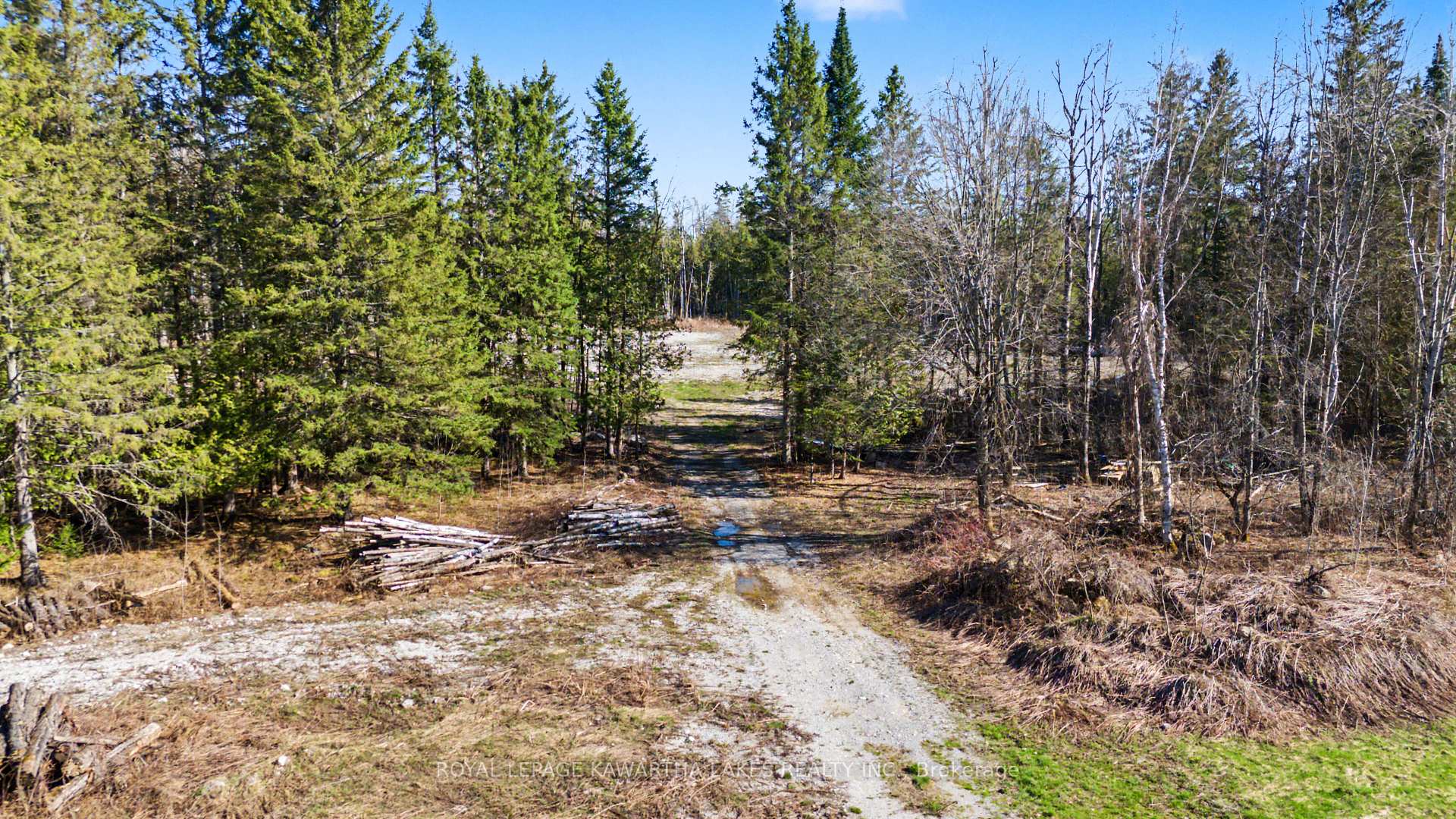 6369 Highway 35 N/A, Kawartha Lakes, ON K0M 1K0