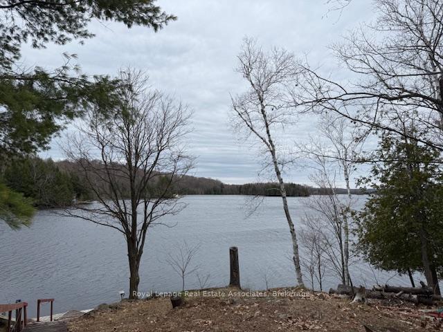 36 ST OLA LAKE SHORE N/A E, Limerick, ON K0L 1W0