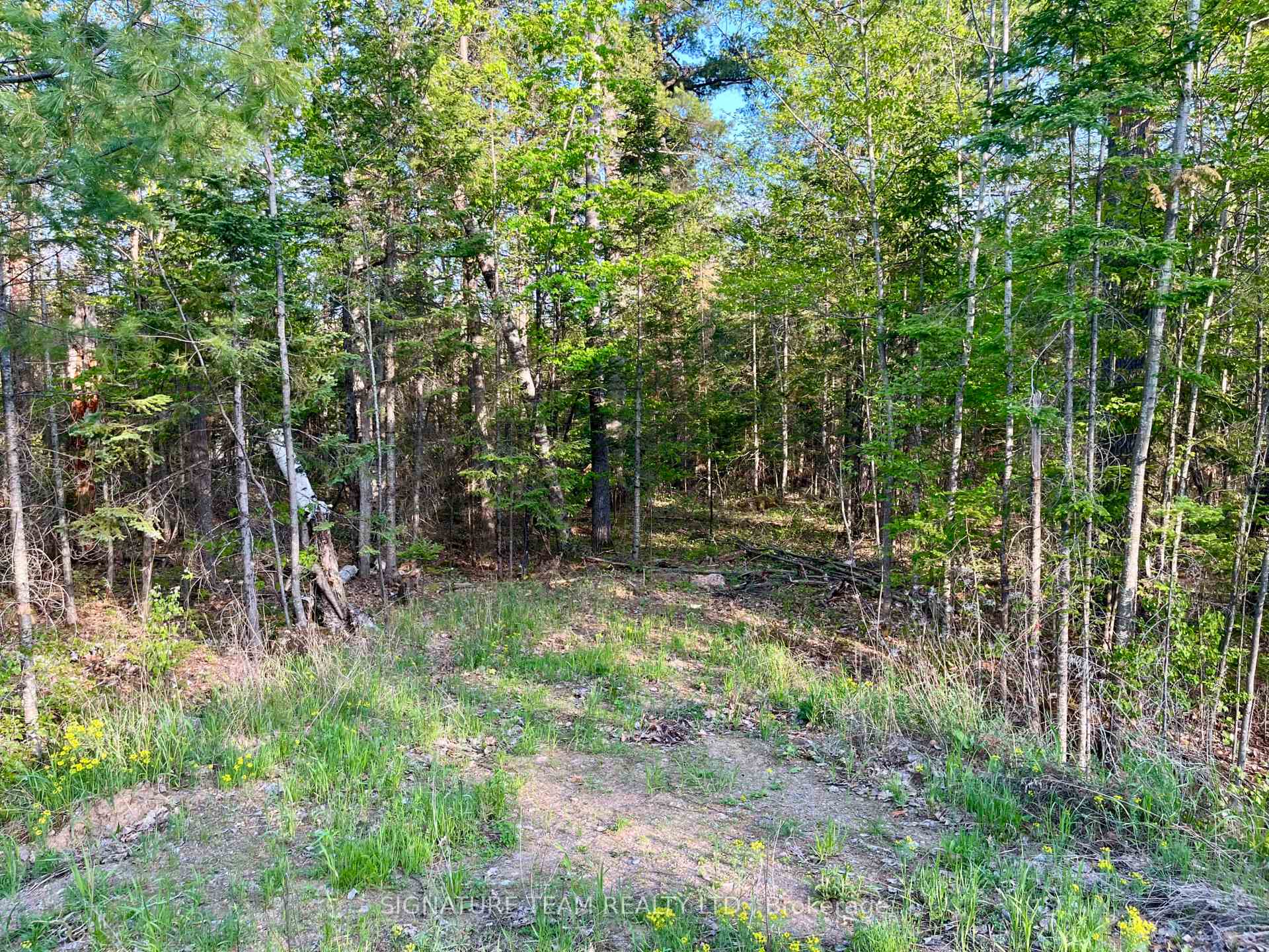 0 Foymount Road, Bonnechere Valley, ON K0J 1T0
