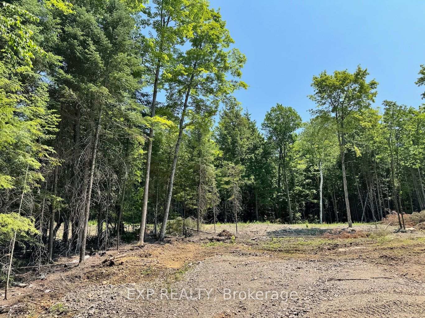 Lot 14 Lakewoods Drive, Madawaska Valley, ON K0J 1B0