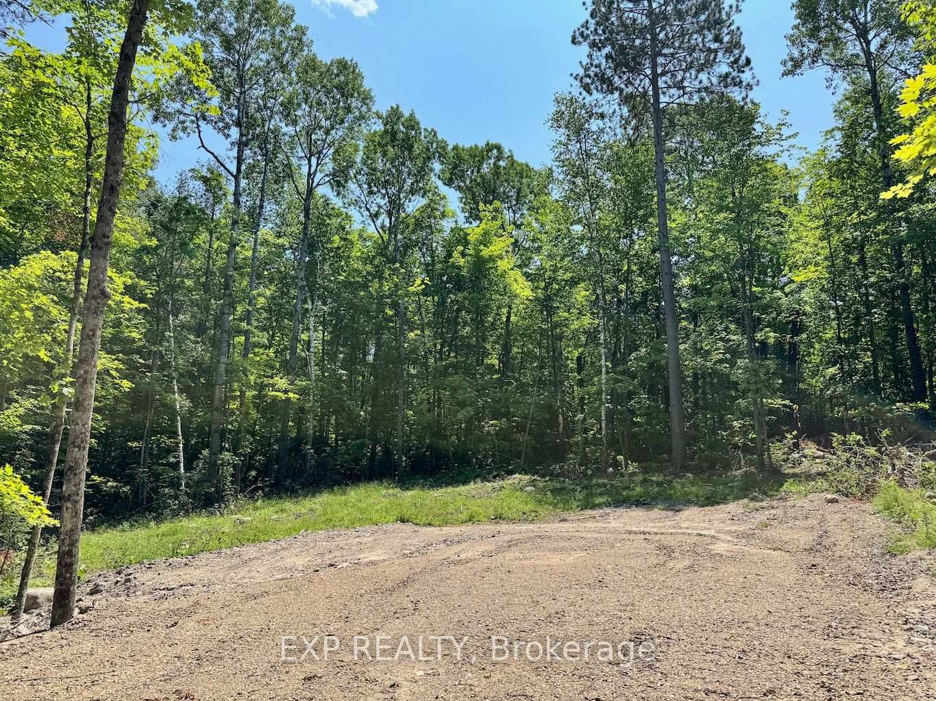 Lot 16 Lakewoods Drive, Madawaska Valley, ON K0J 1B0