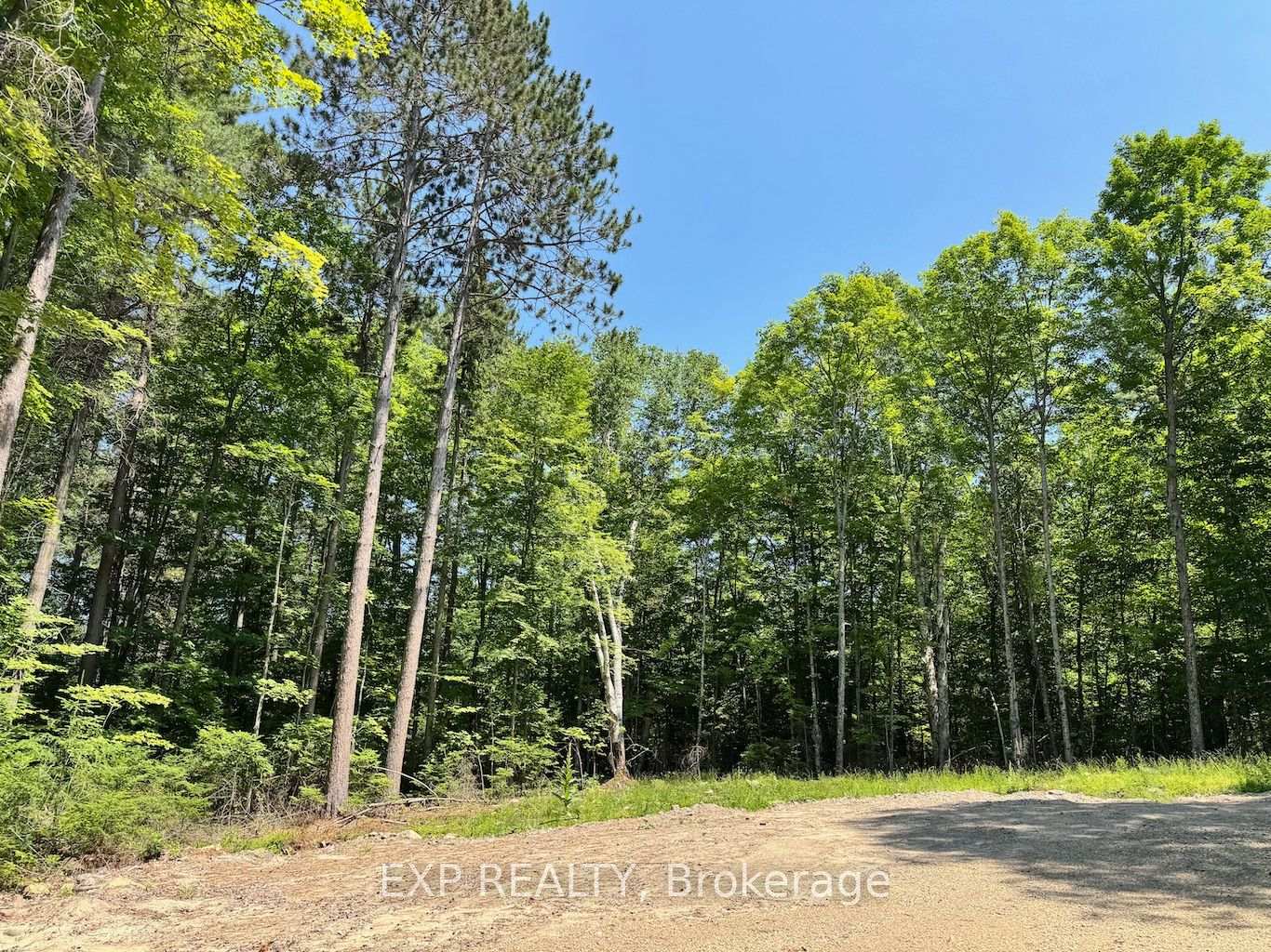 Lot 17 Lakewoods Drive, Madawaska Valley, ON K0J 1B0