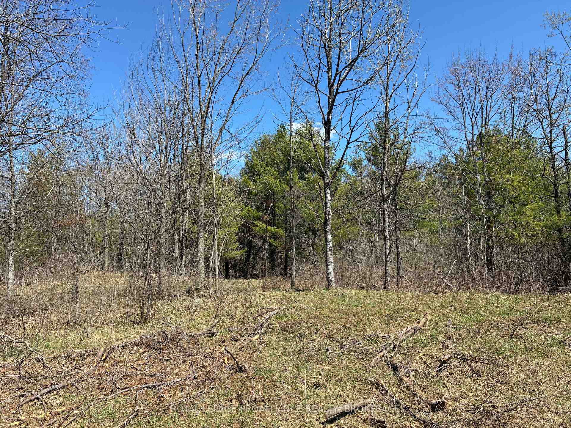 Lot 4 Leveque Road, South Frontenac, ON K0H 2W0