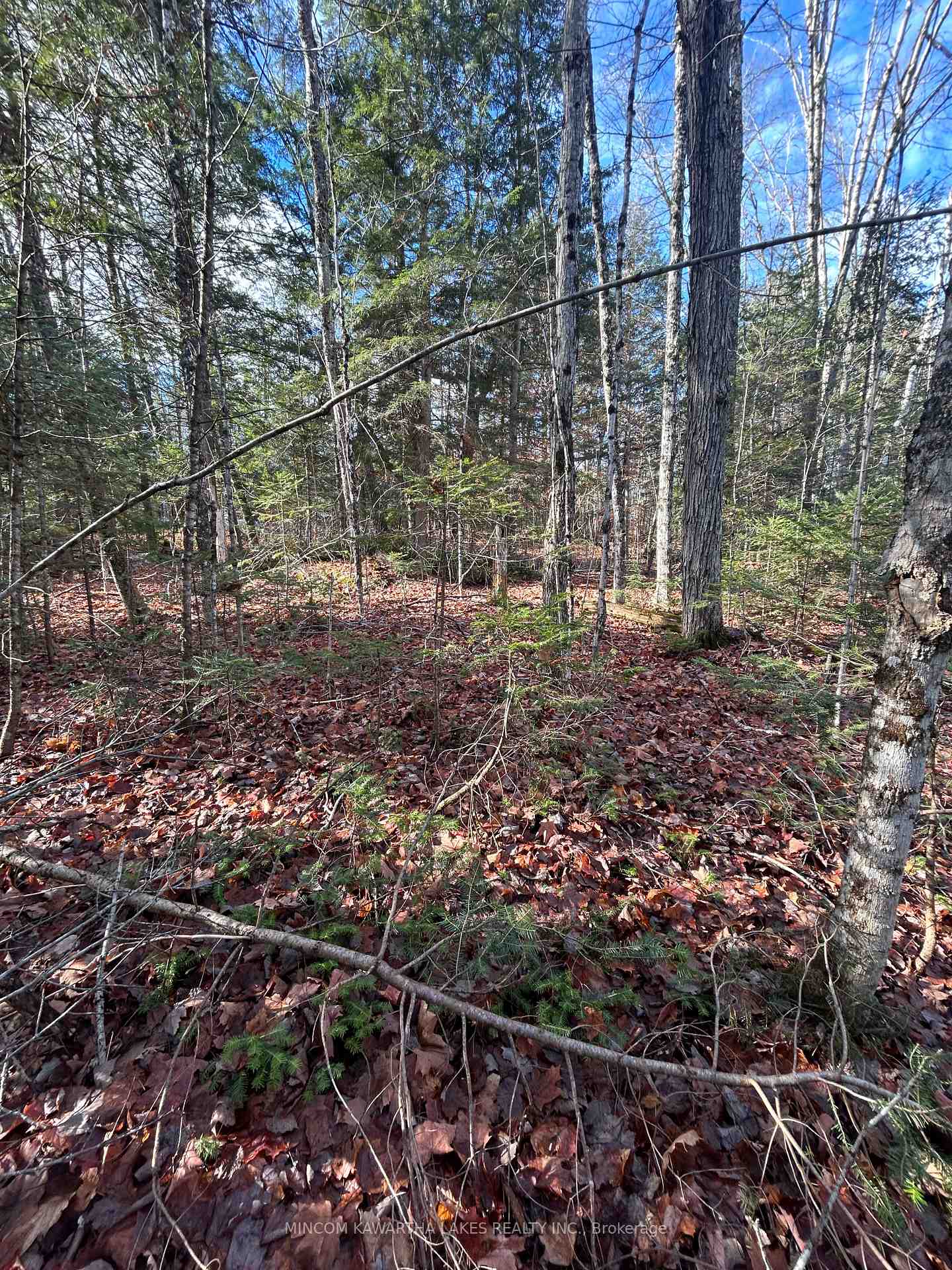 0 Mill Lake Road, North Kawartha, ON K0L 1A0
