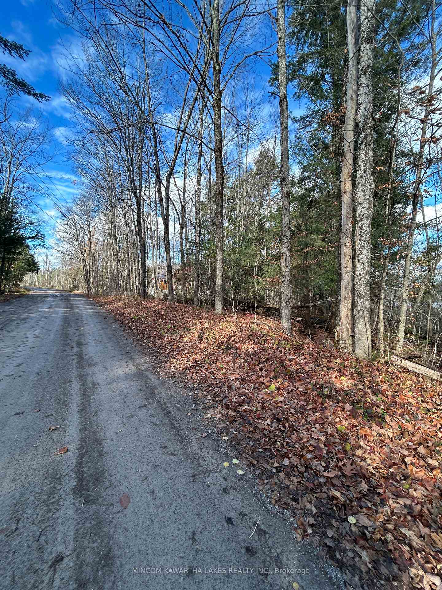 00 Mill Lake Road, North Kawartha, ON K0L 1A0