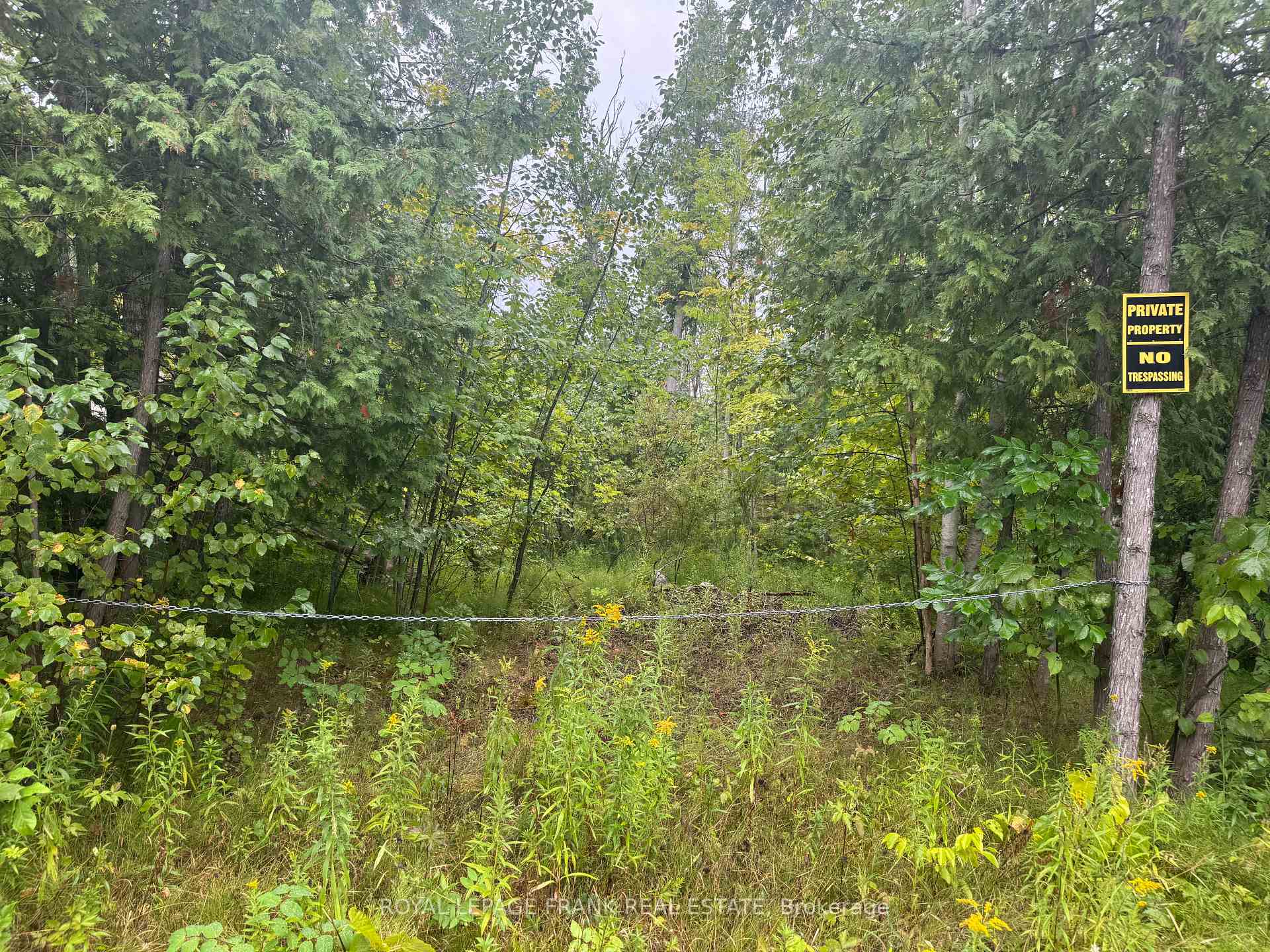 Lot 38 Sumcot Drive, Trent Lakes, ON K0L 1J0
