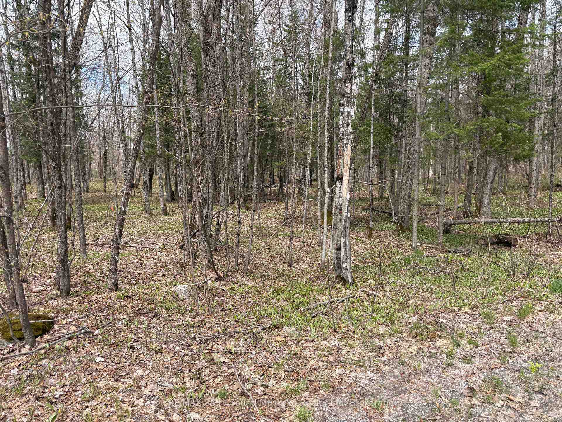 0 Dauncey Road, Magnetawan, ON P0A 1P0