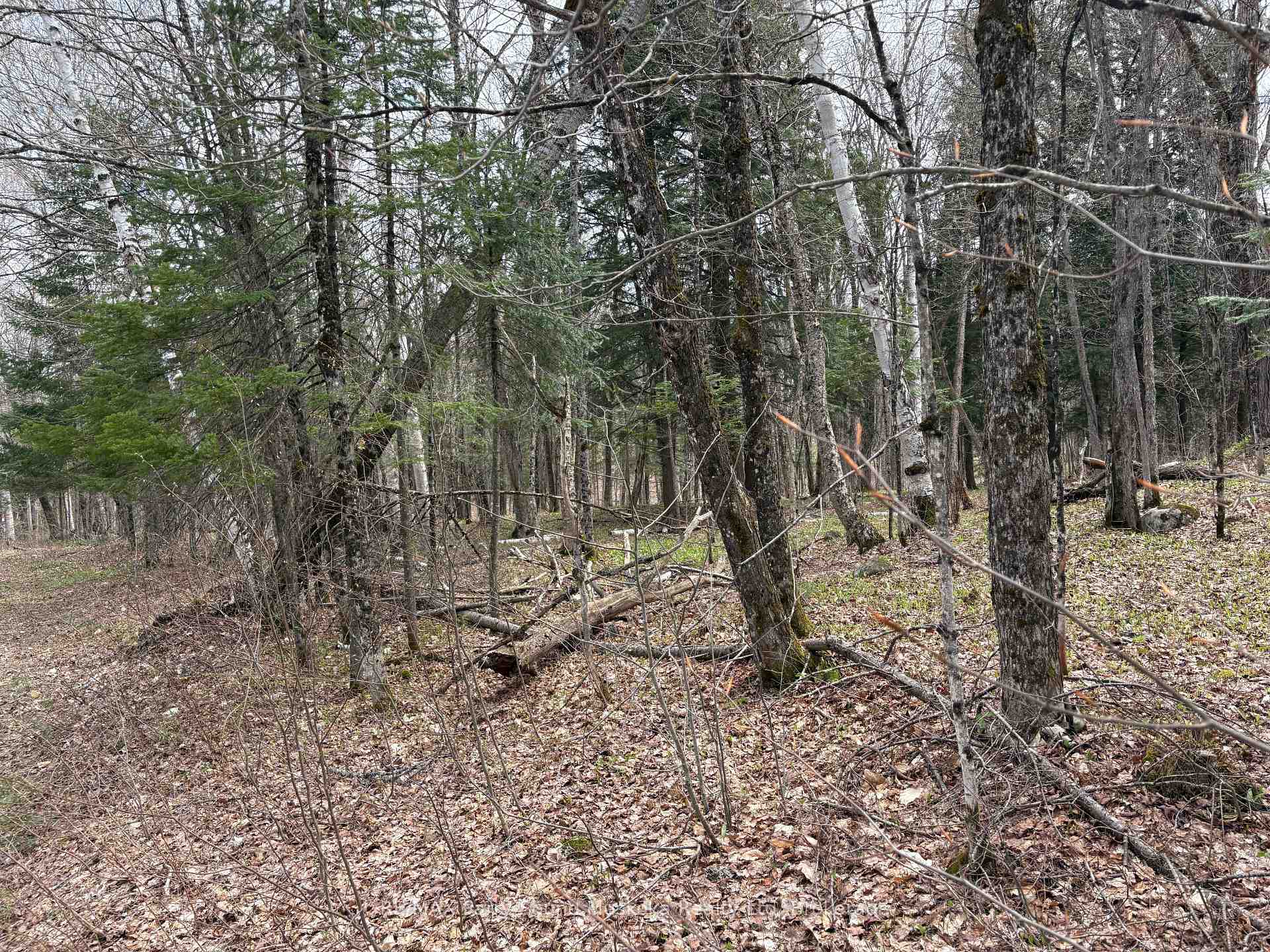 0 Ahmic Lake Road, Magnetawan, ON P0A 1P0