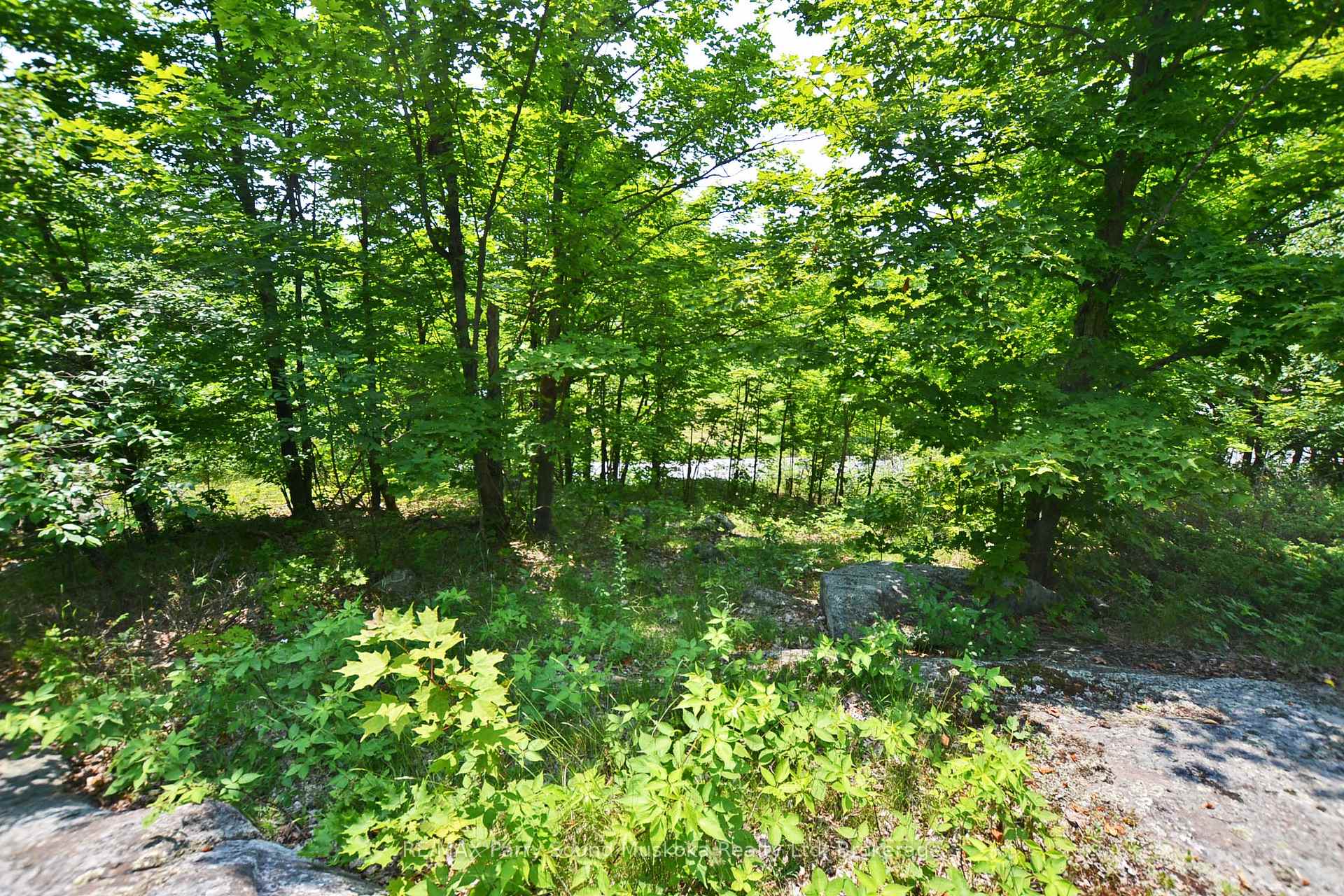 19 Turtle Lane, McKellar, ON P0G 1C0