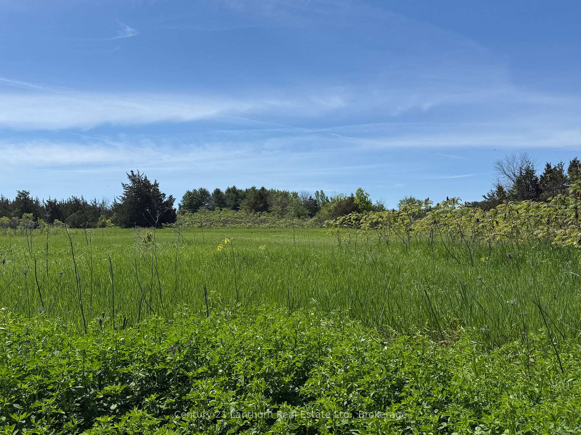 Lot 58 Prinyer's Cove Crescent, Prince Edward County, ON K0K 2T0