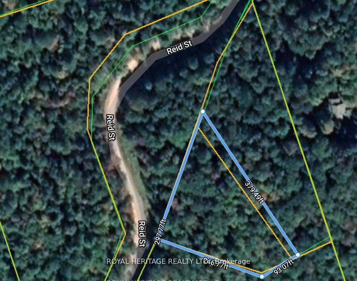 0B Reid Street, Trent Lakes, ON K0M 2A0