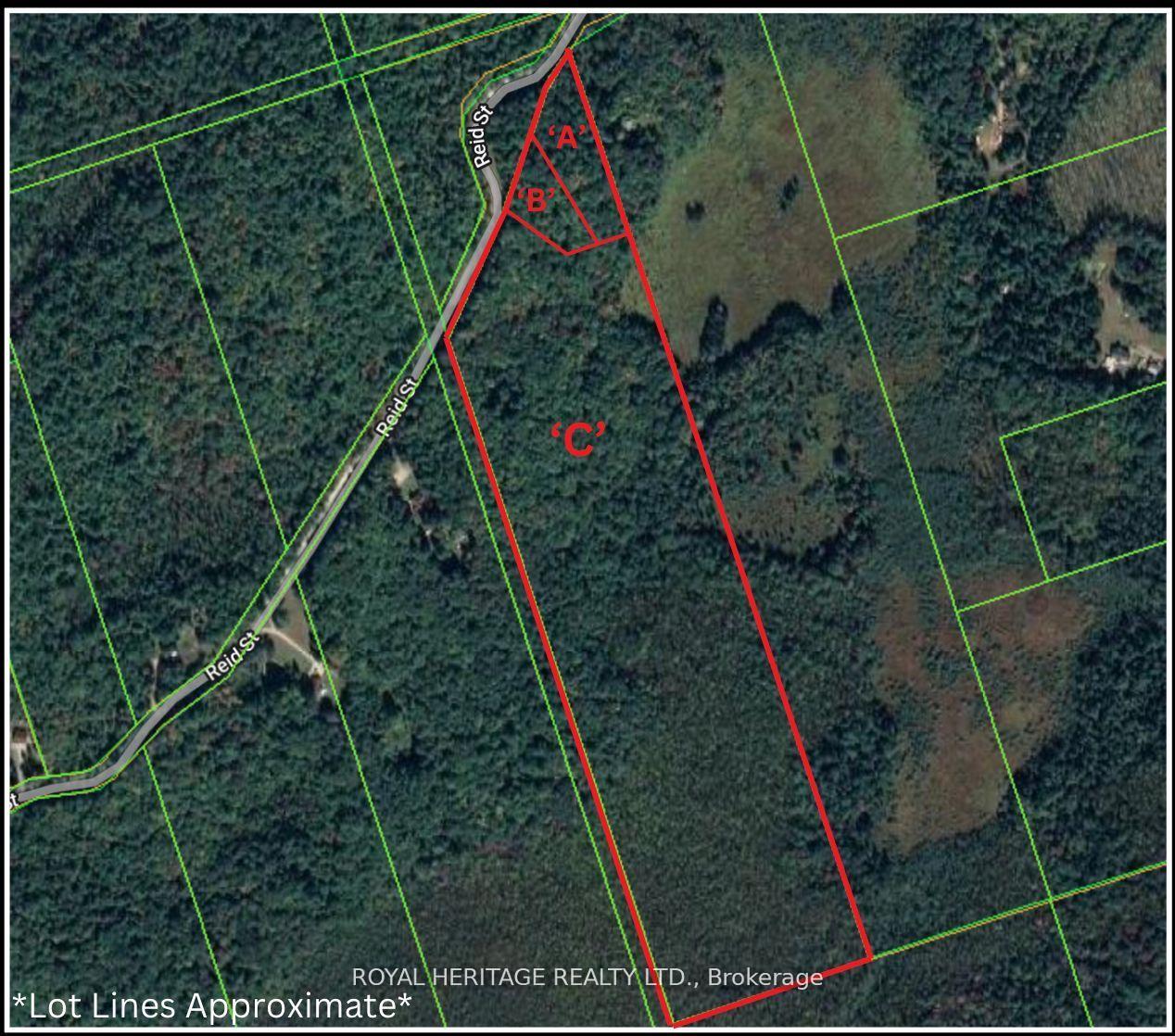 0A Reid Street, Trent Lakes, ON K0M 2A0