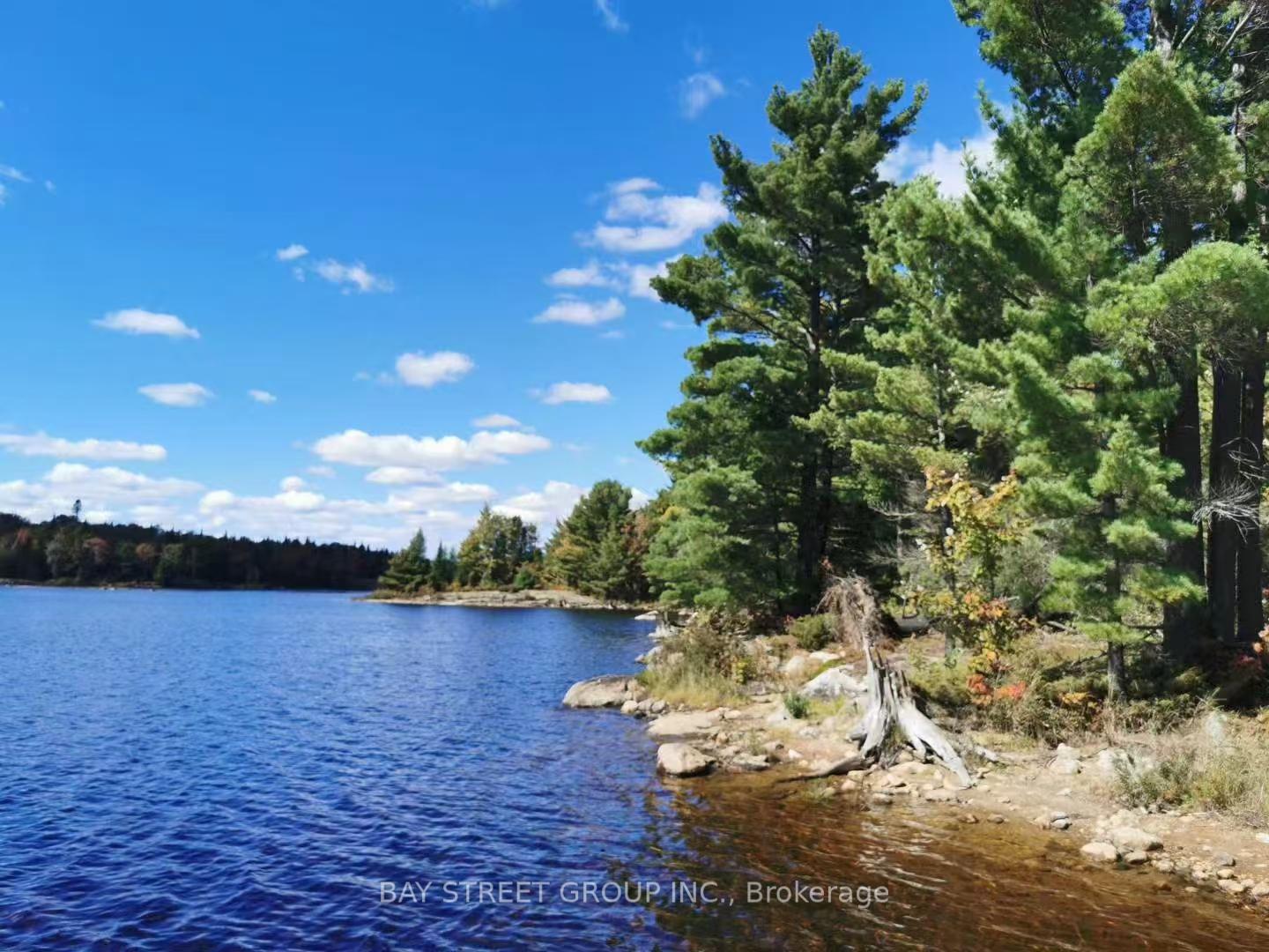 157 Lake Vision Road, McMurrich/Monteith, ON P0A 1P0