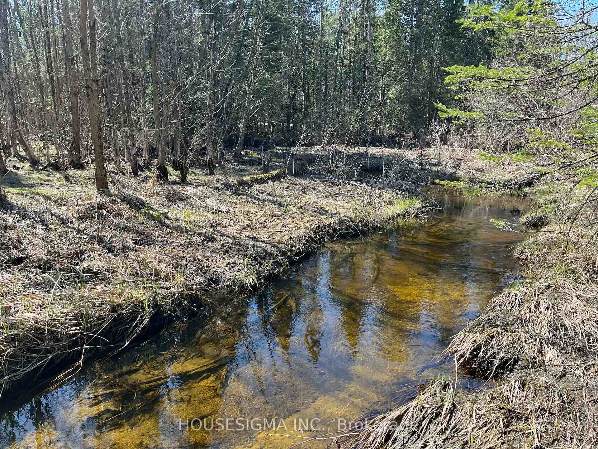 Con 14 PT Lot 17 Ward: 01 Buller Road, Kawartha Lakes, ON K0M 2L0