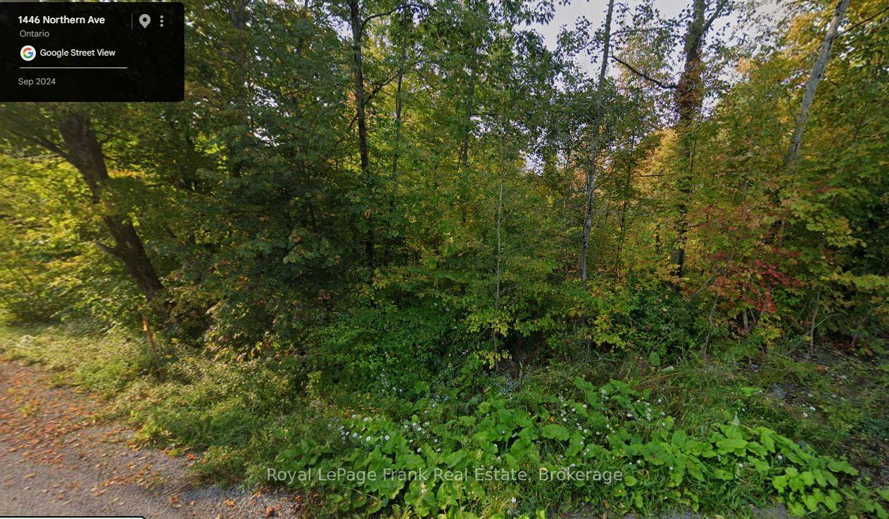 0 Northern Avenue, Trent Lakes, ON K0L 1J0