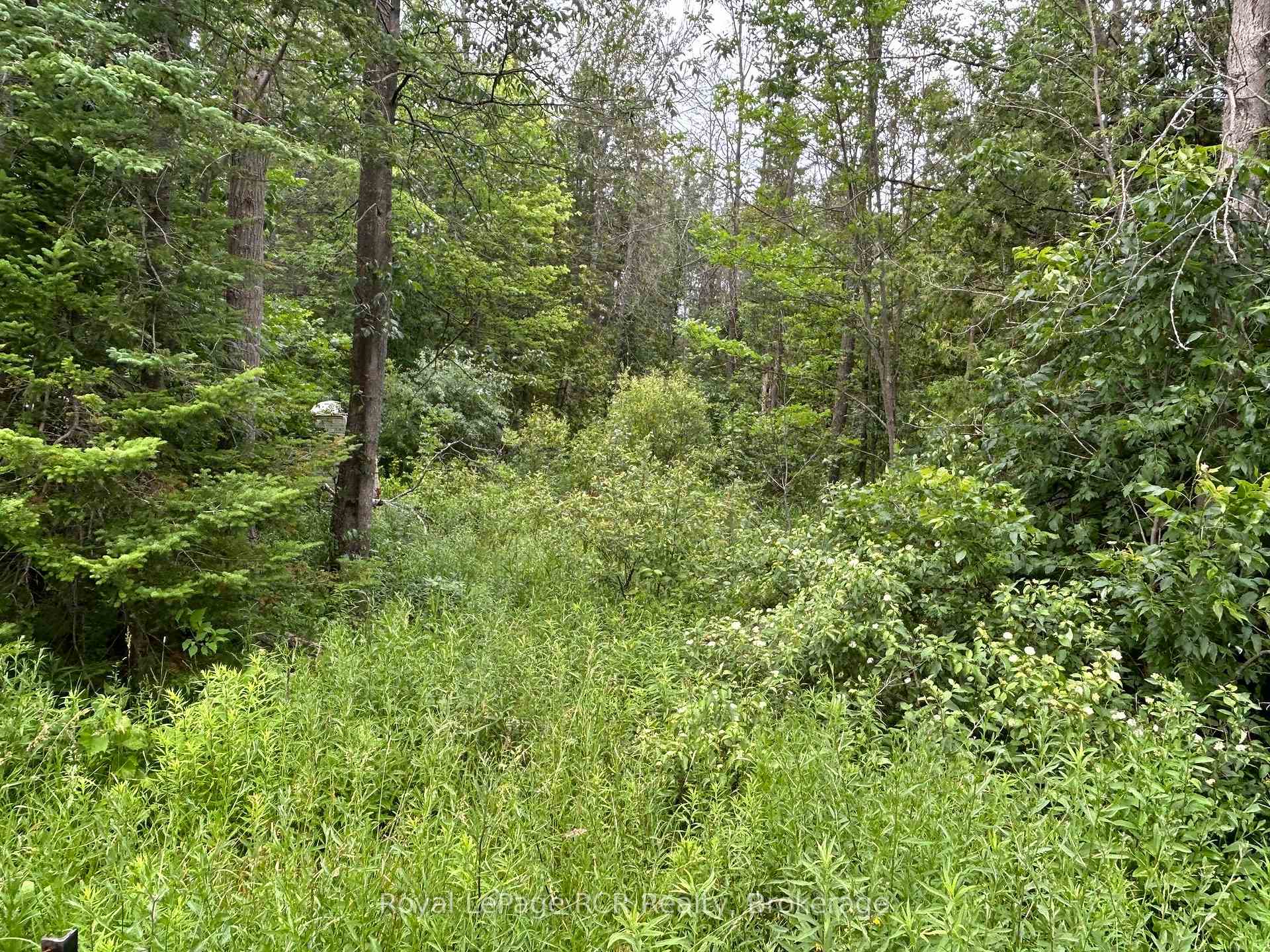 part Lot 2 conc 17 Road, Georgian Bluffs, ON N0H 2T0