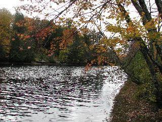 1260 Mathiasville Road, Bracebridge, ON P1L 1X1