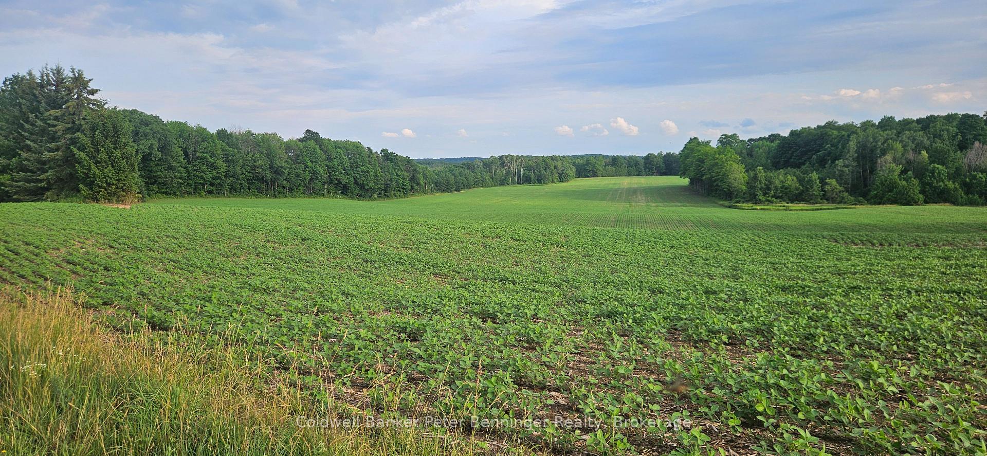 521268 Concession 12 N/A N, West Grey, ON N0G 1S0