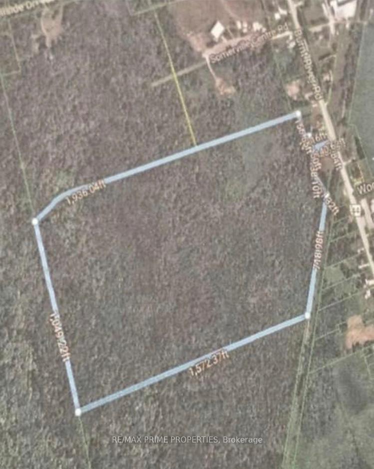 0 Burnt River Road, Kawartha Lakes, ON K0M 1C0
